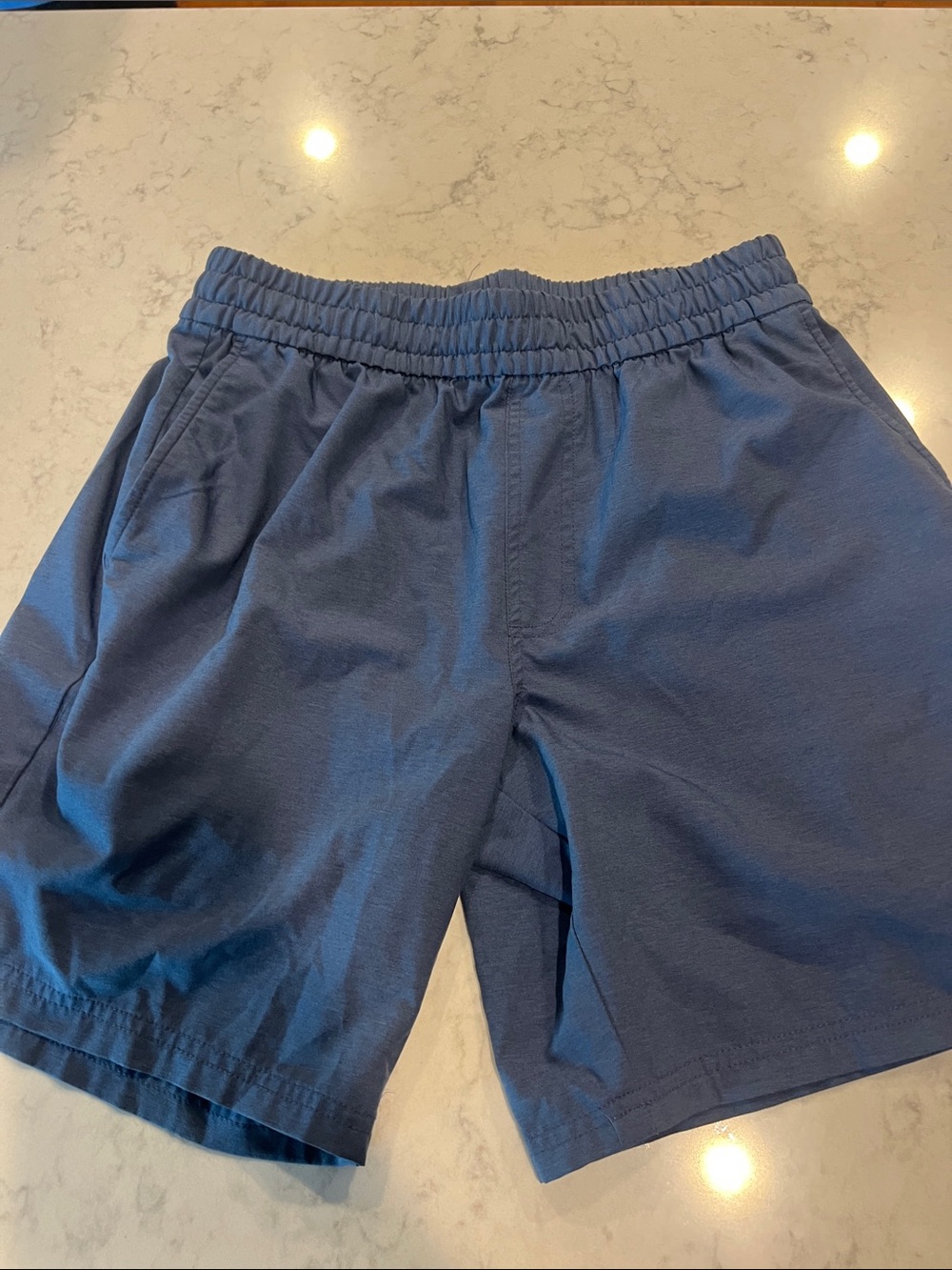 PGA Tour Men's Elastic Waist Shorts - Navy Blue